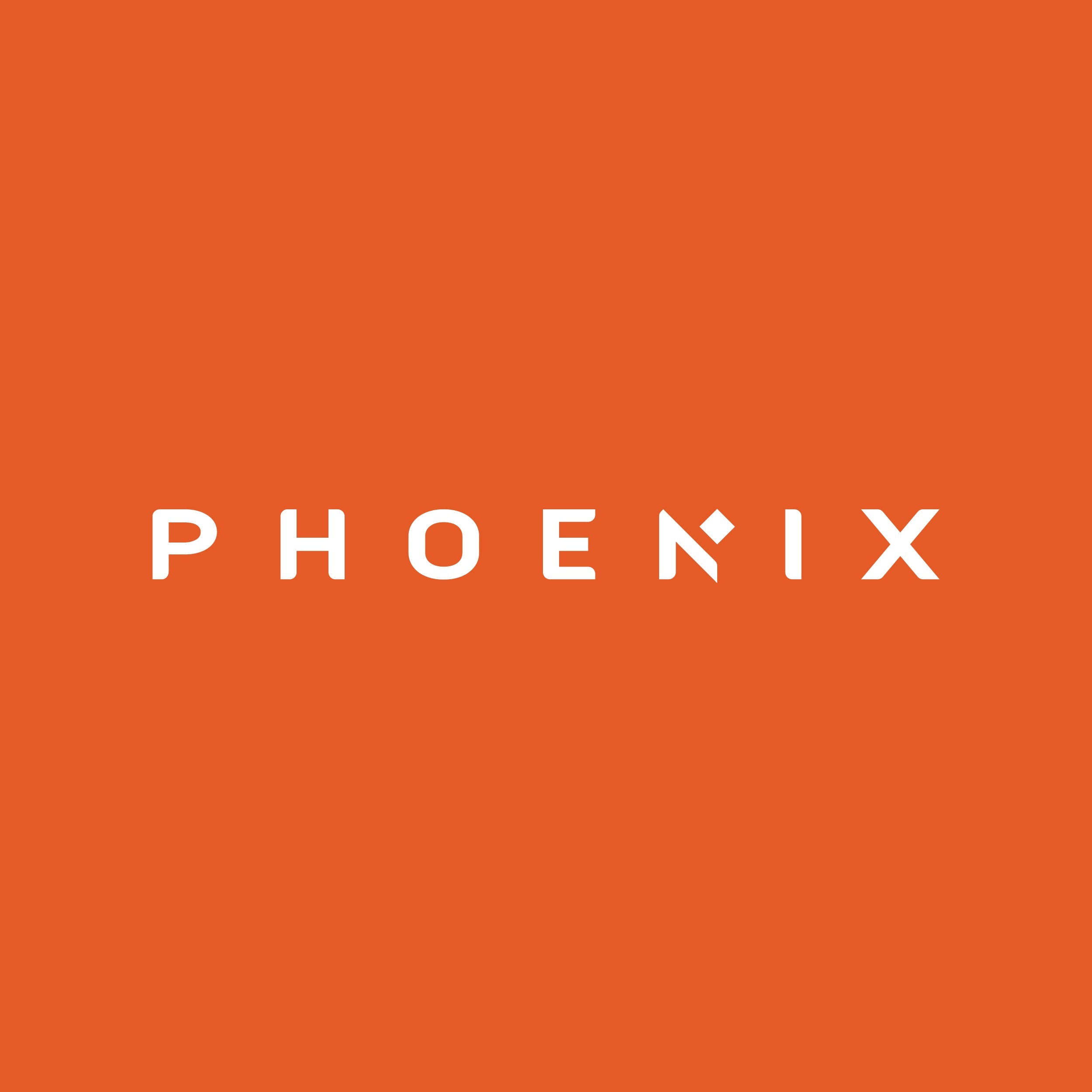 Phoenix Storage & Organization