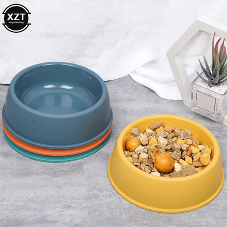 Dog Food Bowl 