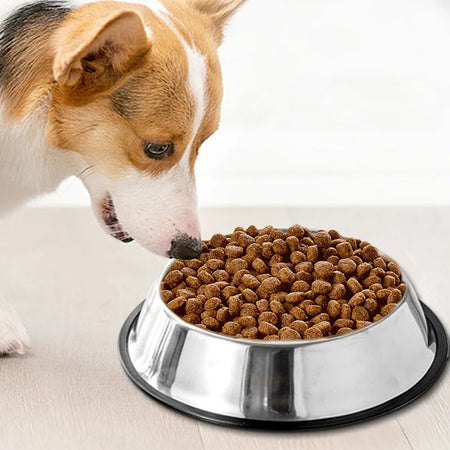 Stainless Steel Pet Bowl Large