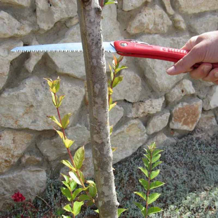 Folding Pruning Saw