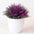 Colour Artificial Plant Small Tree Pot Home Decoration - Bamagate