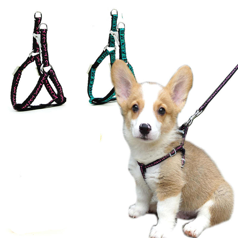 cat small dog harness