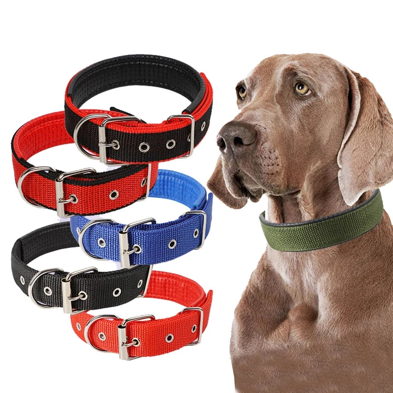 Adjustable Nylon Collar