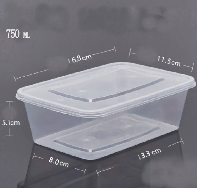 plastic food box