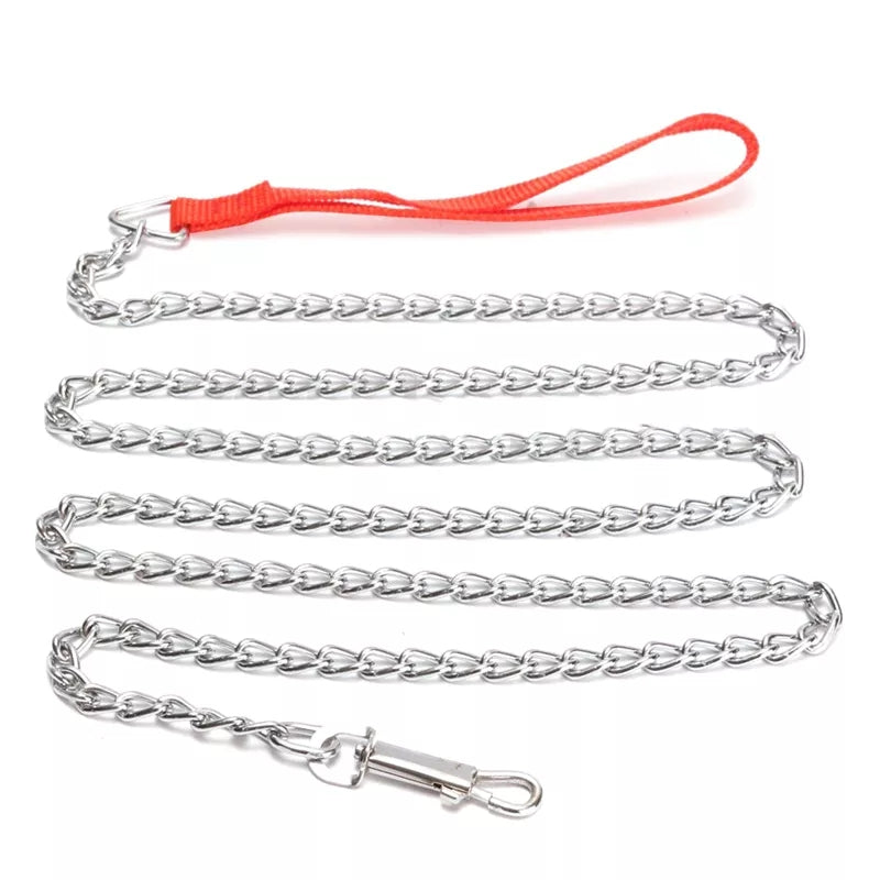 dog leash metal chain