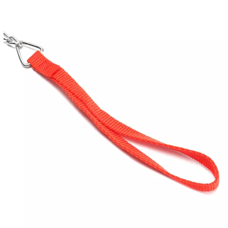 dog leash metal chain