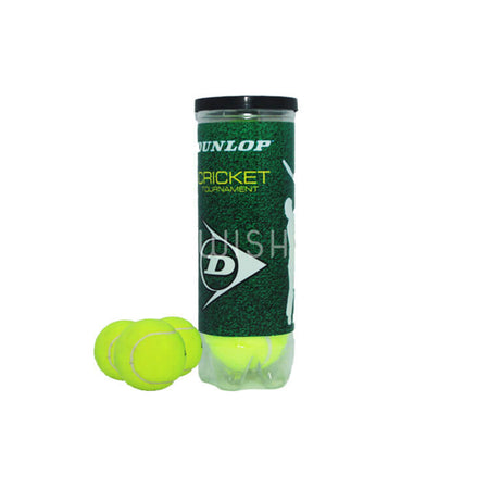 dunlop cricket tennis ball