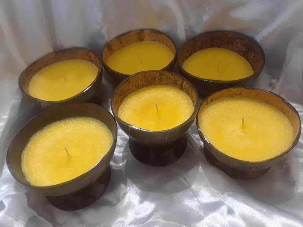 Coconut Shell Candle Handmade for Home - bamagate-com